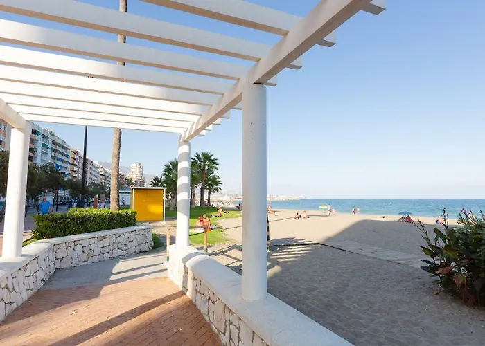 Picasso Daisy * Fuengirola