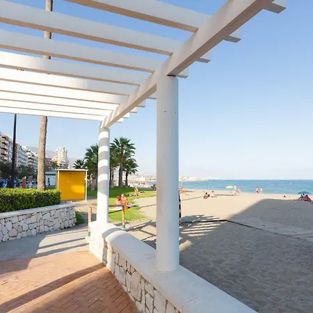 Picasso Daisy * Fuengirola